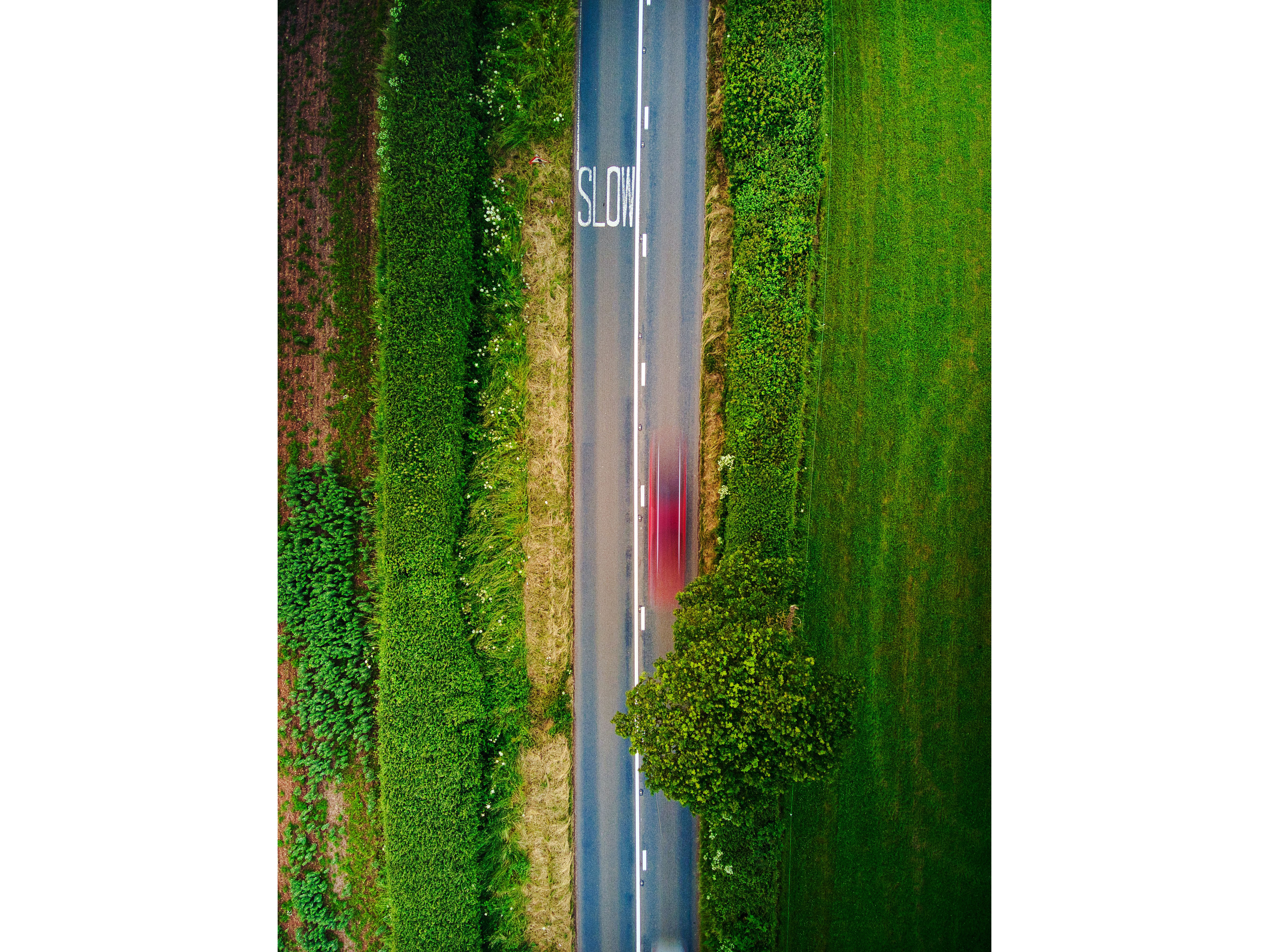2022 Resolution: Slowing Down to Speed Up Image
