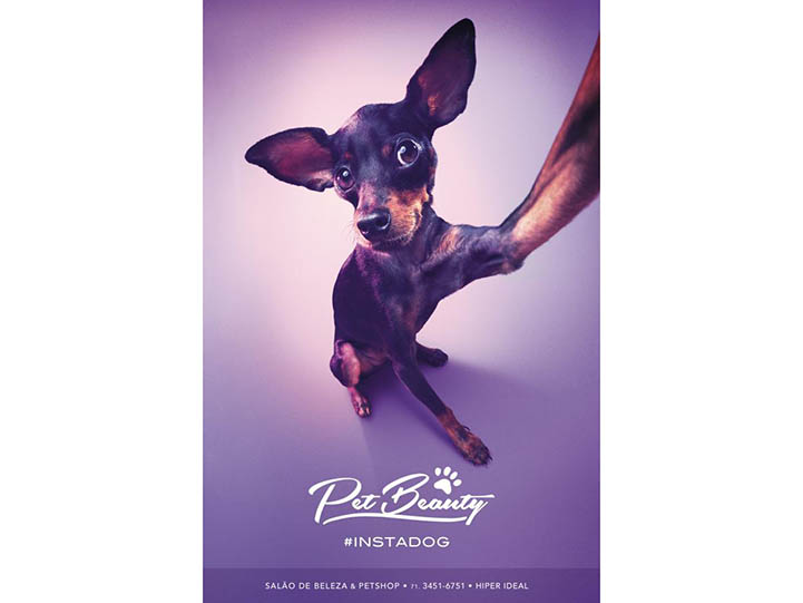 Pet Beauty by Tuppi, 2013 Pet Beauty by Tuppi, 2013