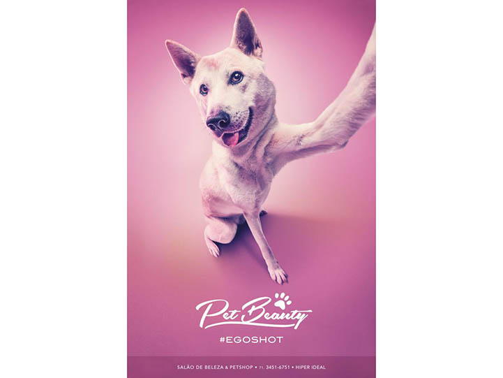 Pet Beauty by Tuppi, 2013 Pet Beauty by Tuppi, 2013