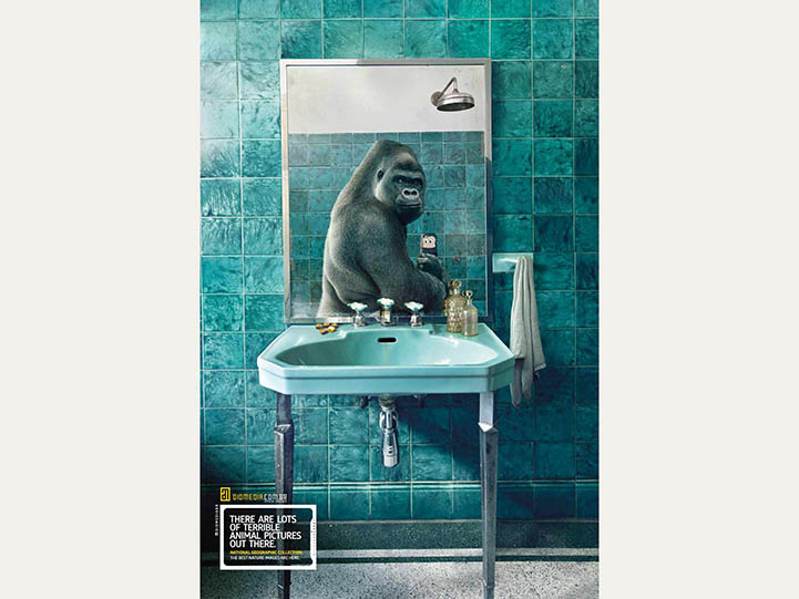 Diomedia by Heads, Sao Paulo, 2014 Diomedia by Heads, Sao Paulo, 2014