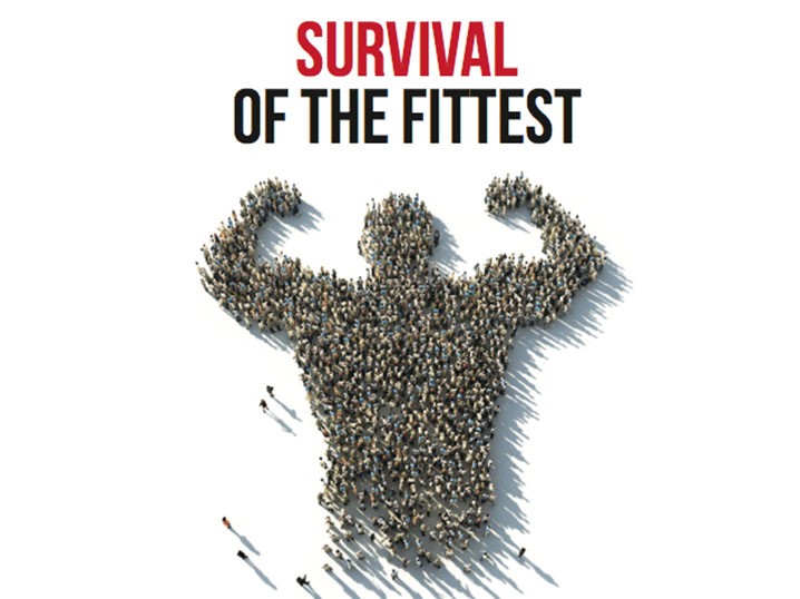 Agency of the Future: Survival of the Fittest Image