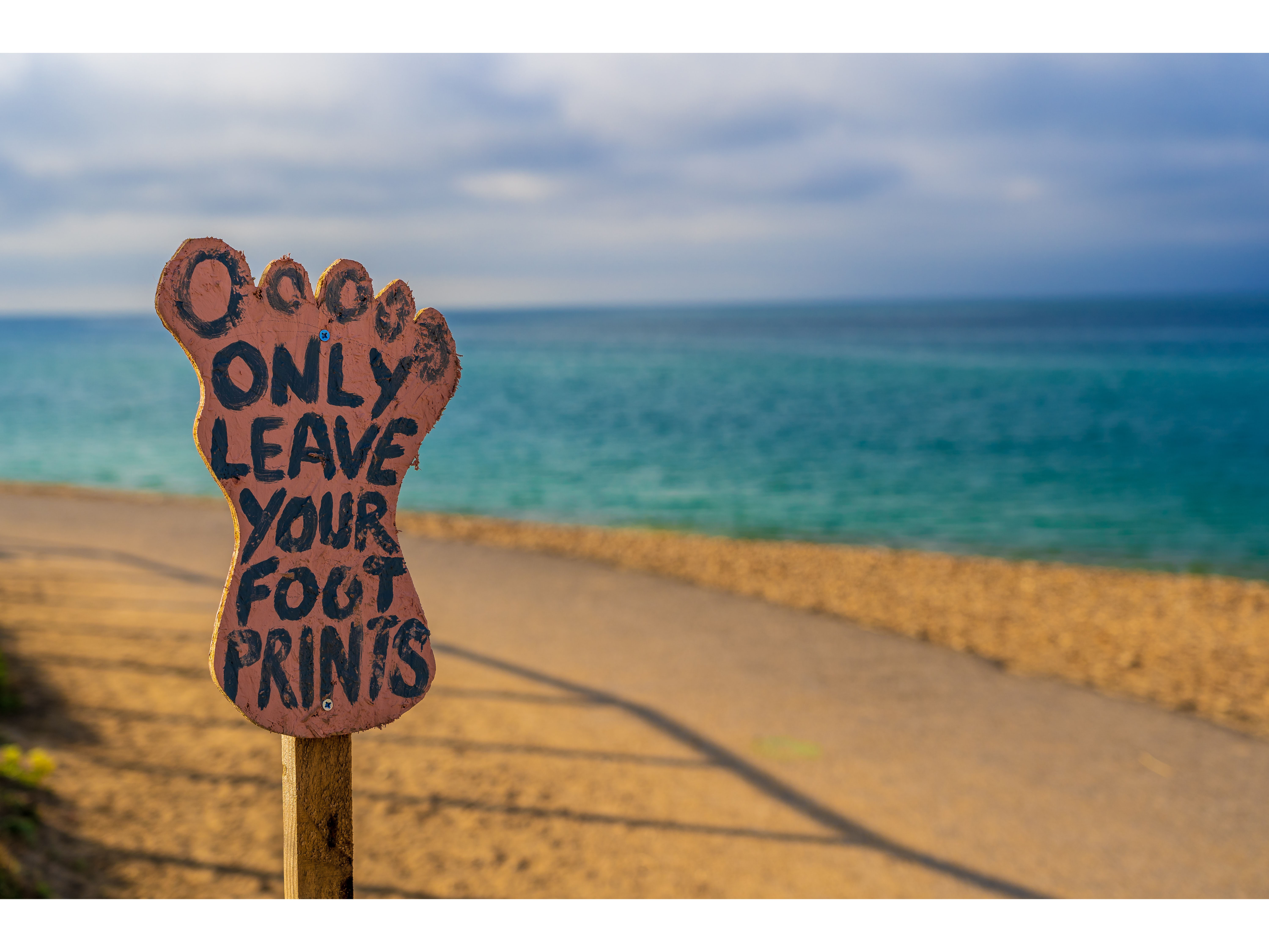 Three Reasons Why Many Brands Are Late to the Sustainability Game Image